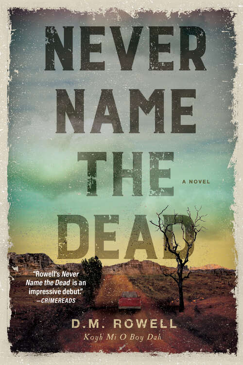 Book cover of Never Name the Dead: A Novel (A Mud Sawpole Mystery)
