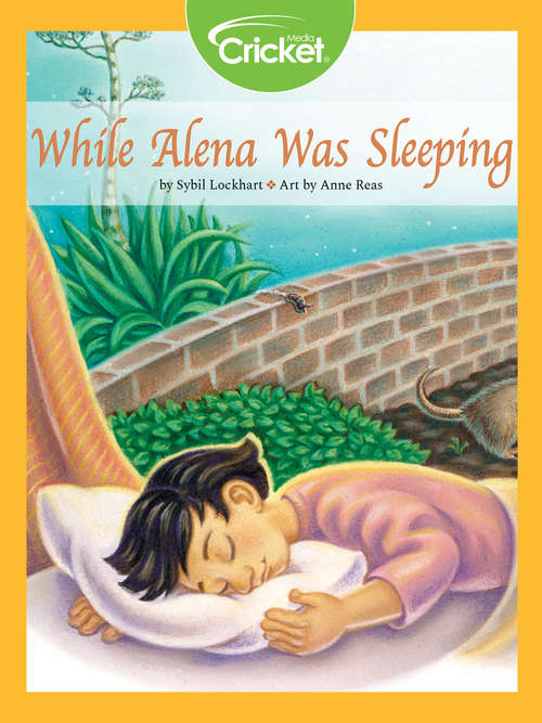 Book cover of While Alena Was Sleeping