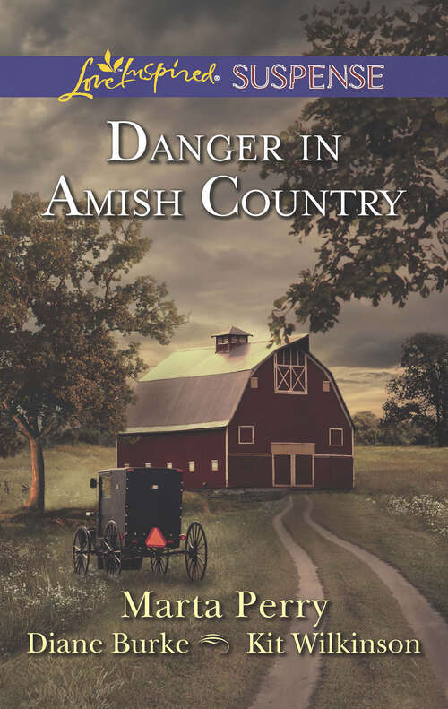 Book cover of Danger in Amish Country