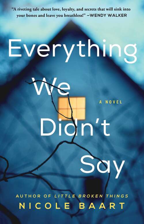 Book cover of Everything We Didn't Say: A Novel