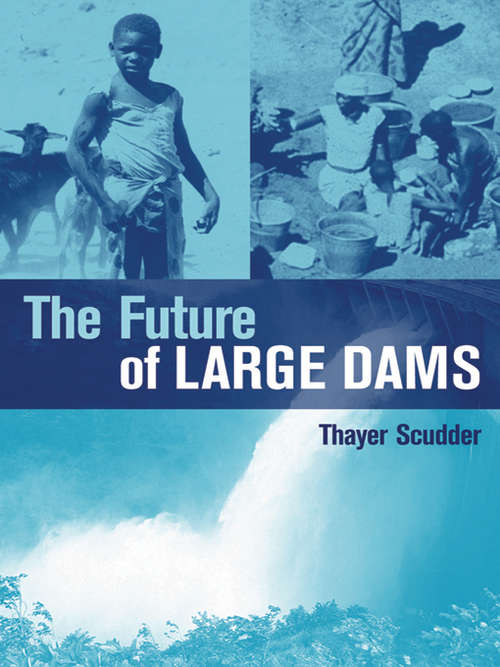 Book cover of The Future of Large Dams: "Dealing with Social, Environmental, Institutional and Political Costs"