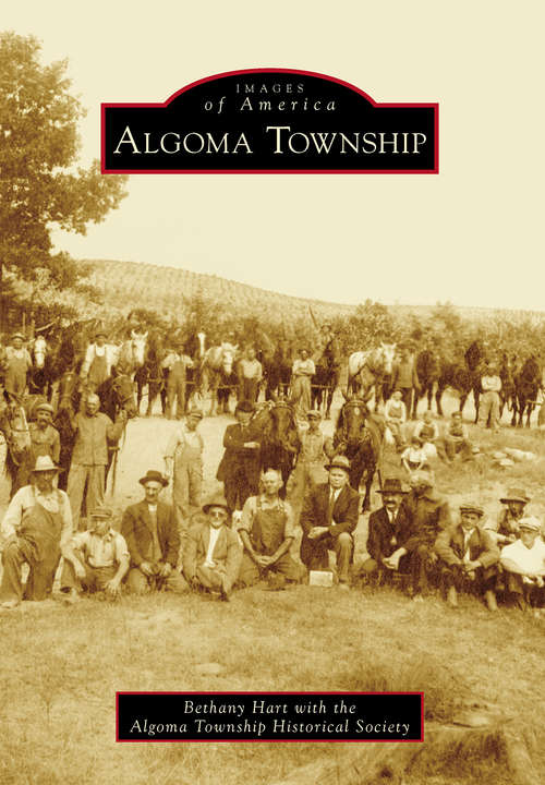 Book cover of Algoma Township