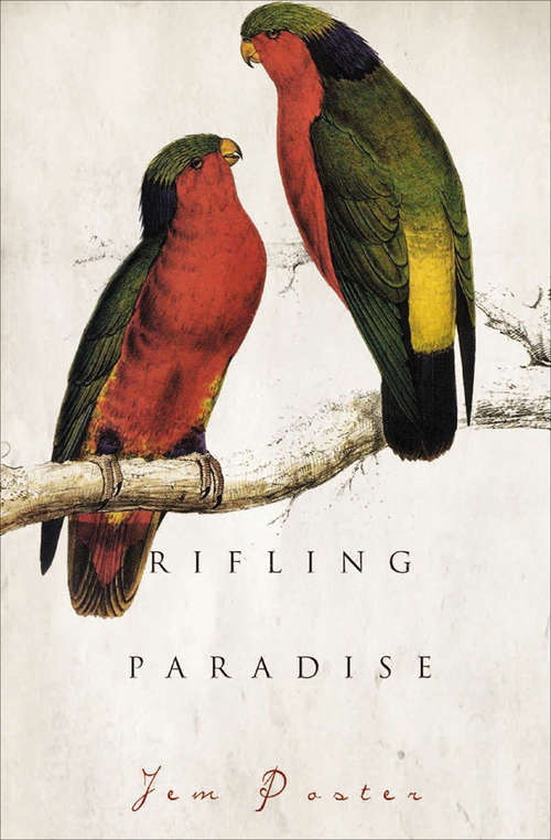Book cover of Rifling Paradise