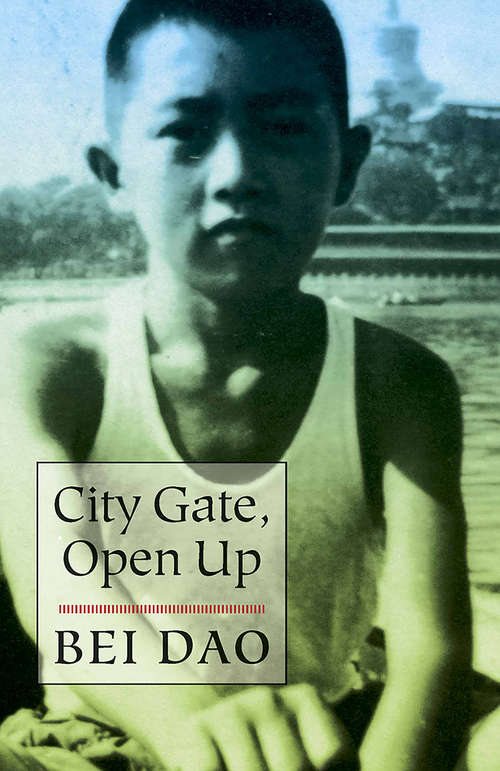 Book cover of City Gate, Open Up