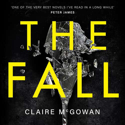 Book cover of The Fall: A murder brings them together. The truth will tear them apart.