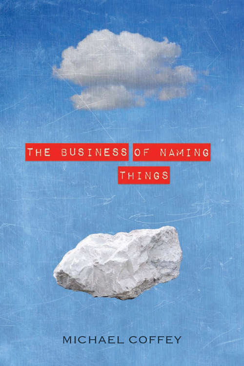 Book cover of The Business of Naming Things