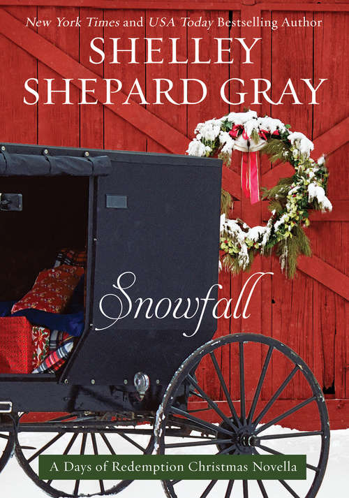 Book cover of Snowfall