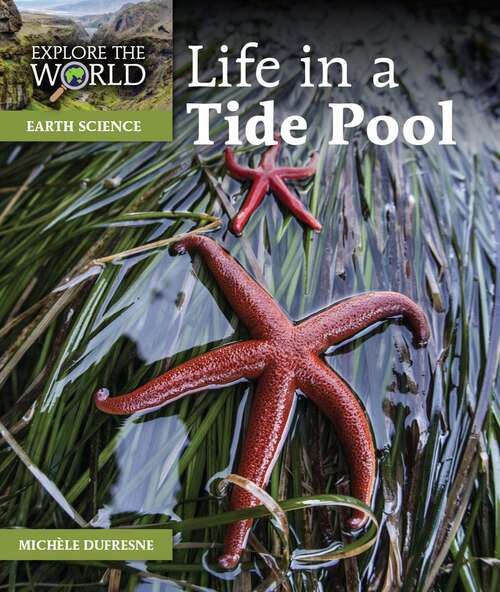 Book cover of Life in a Tide Pool: Explore The World Level K Set (National Edition) (Explore The World)