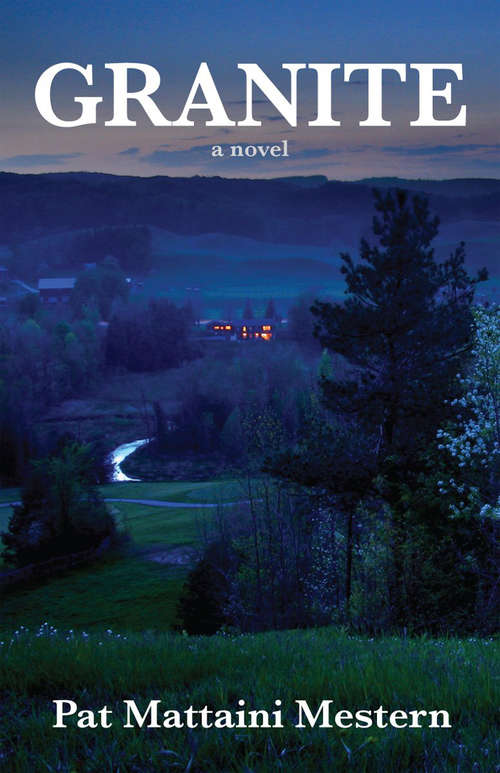 Book cover of Granite: a novel