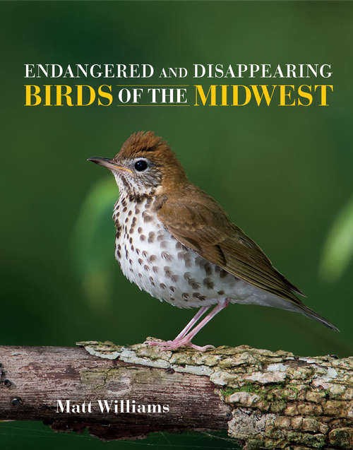 Book cover of Endangered and Disappearing Birds of the Midwest