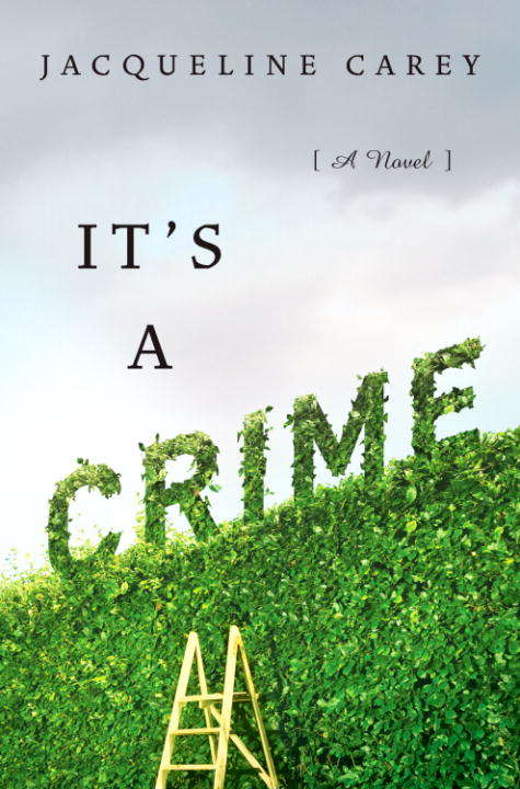 Book cover of It's a Crime