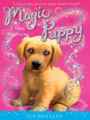 Book cover of A New Beginning (Magic Puppy #1)