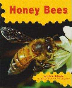 Book cover of Honey Bees (Honey Bees Series)