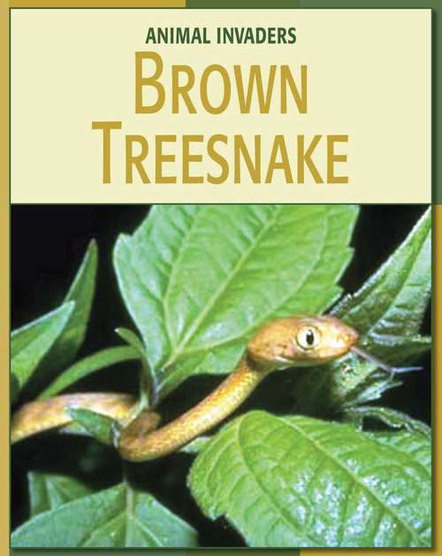 Book cover of Brown Treesnake (21st Century Skills Library: Animal Invaders)