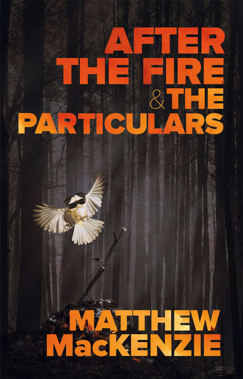 Book cover of After the Fire & The Particulars