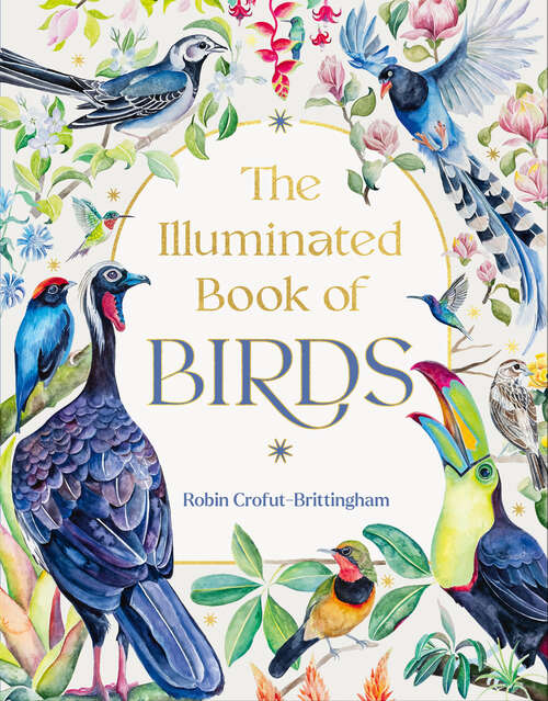 Book cover of The Illuminated Book of Birds