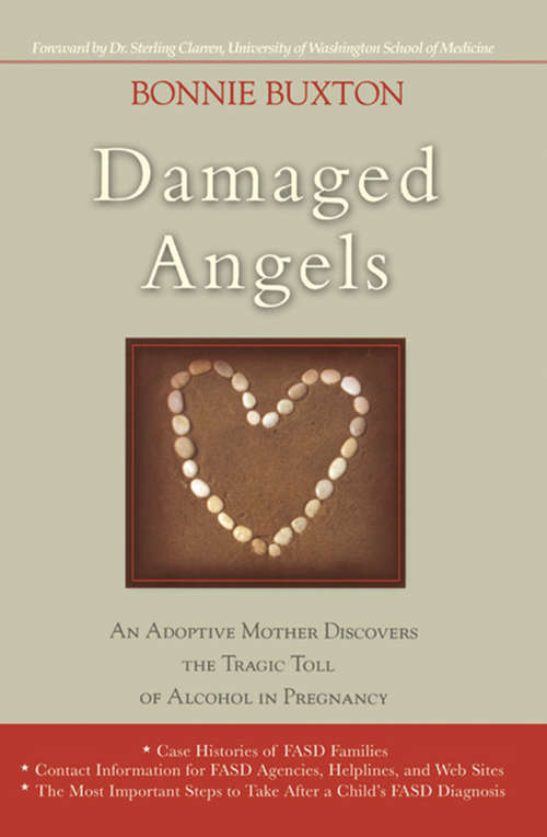 Book cover of Damaged Angels