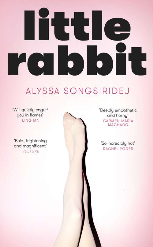Book cover of Little Rabbit