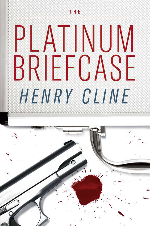 Book cover of The Platinum Briefcase