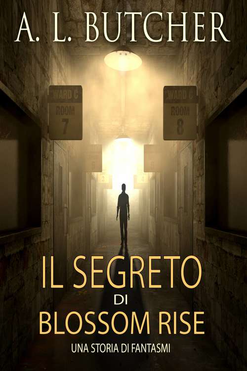 Book cover of Il Segreto di Blossom Rise