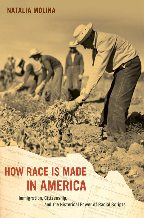 How Race Is Made in America