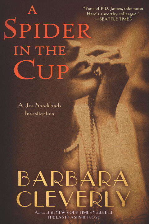 Book cover of A Spider in the Cup