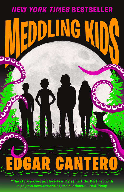 Book cover of Meddling Kids: A Novel