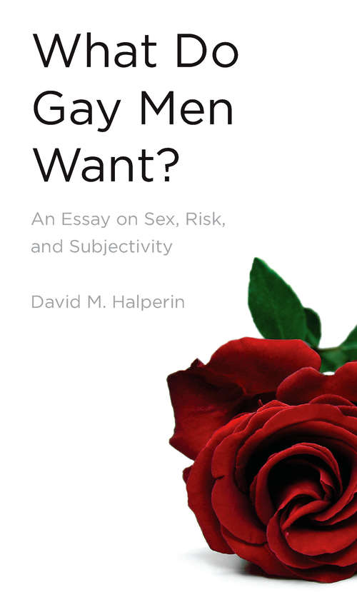 Book cover of What Do Gay Men Want? An Essay on Sex, Risk, and Subjectivity