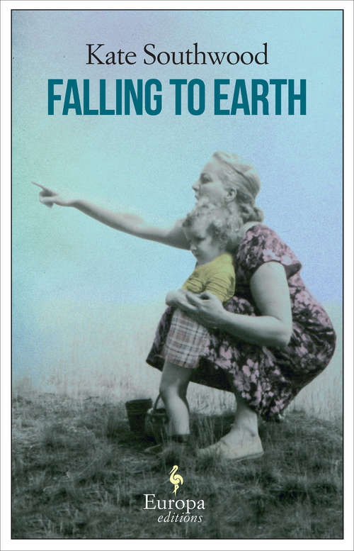 Book cover of Falling to Earth