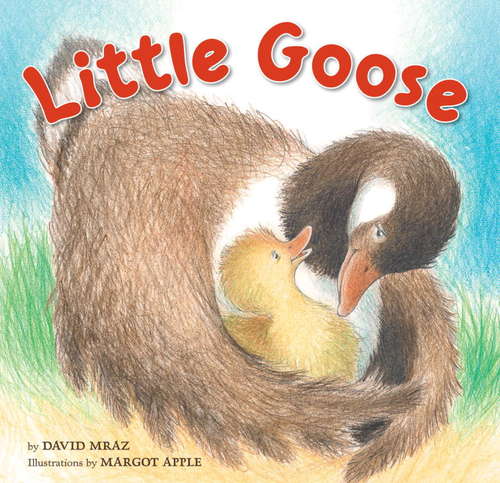 Book cover of Little Goose