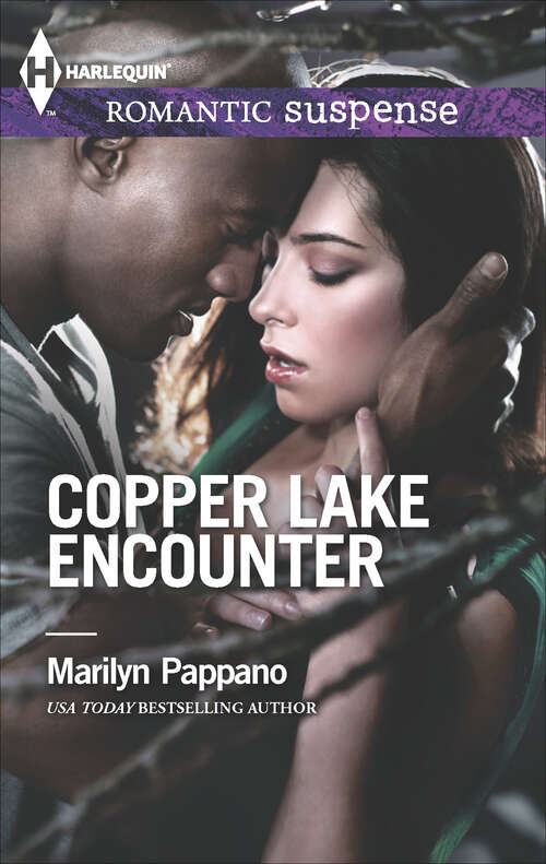 Book cover of Copper Lake Encounter