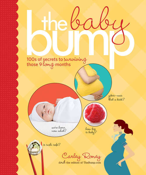 Book cover of The Baby Bump: 100s of secrets to surviving those 9 long months