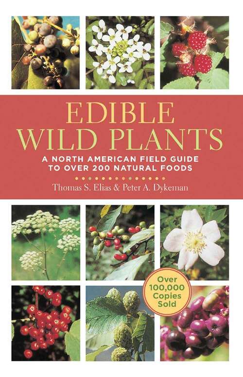 Edible Wild Plants