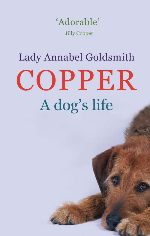 Book cover of Copper: A Dog's Life