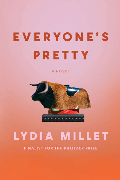 Book cover of Everyone's Pretty: A Novel