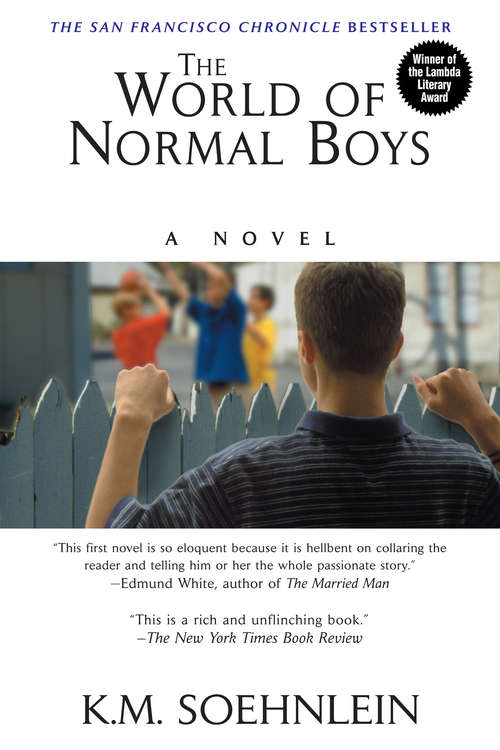 Book cover of The World of Normal Boys