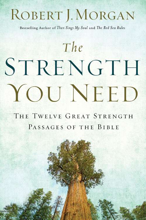 Book cover of The Strength You Need: The Twelve Great Strength Passages of the Bible