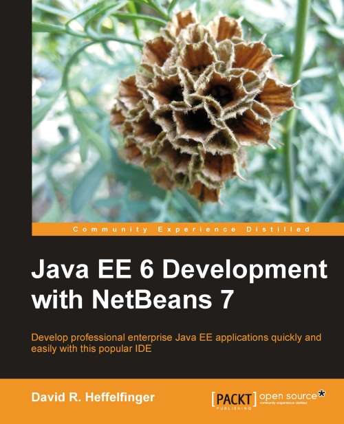 Book cover of Java EE 6 Development with NetBeans 7