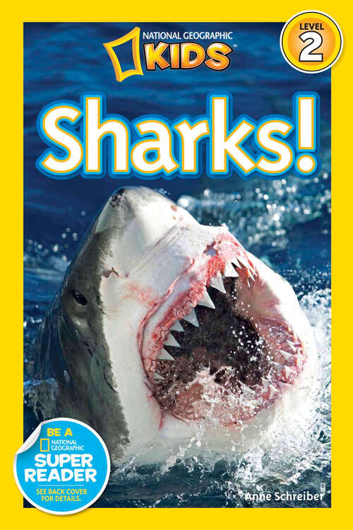 Book cover of Sharks (Readers)