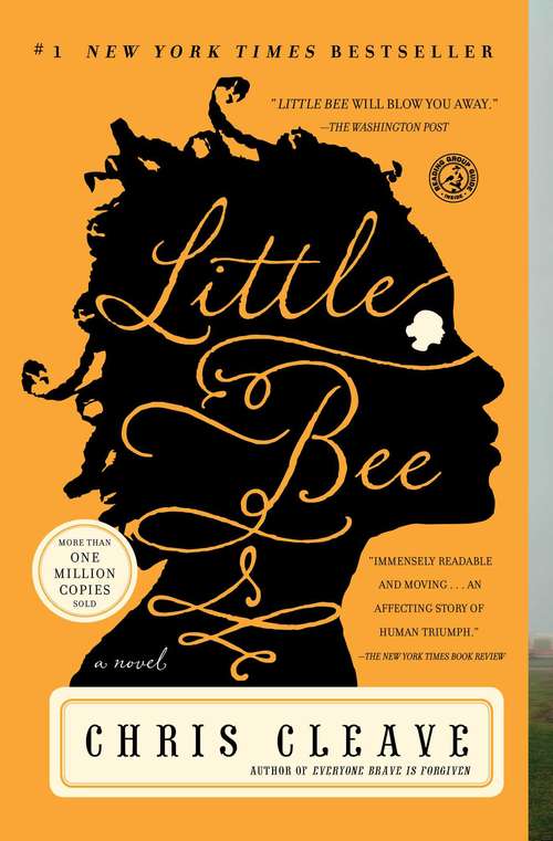 Book cover of Little Bee