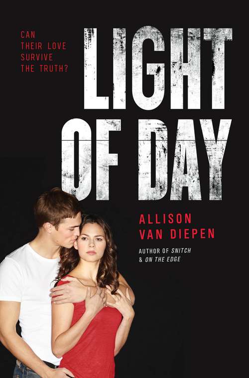 Book cover of Light of Day
