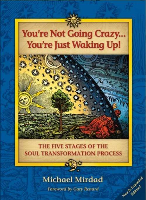 Book cover of You're Not Going Crazy . . . You're Just Waking Up!: The Five Stages of the Soul Transformation Process