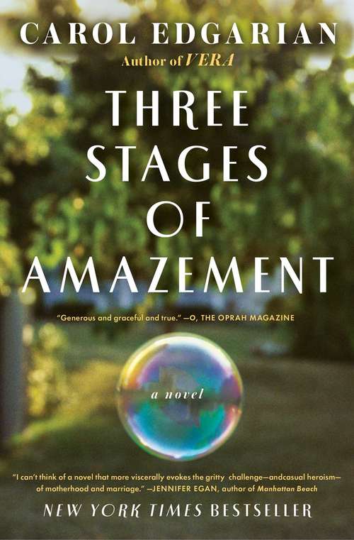 Book cover of Three Stages of Amazement: A Novel