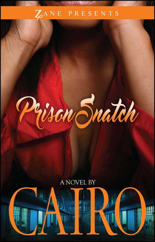 Book cover of Prison Snatch: A Novel