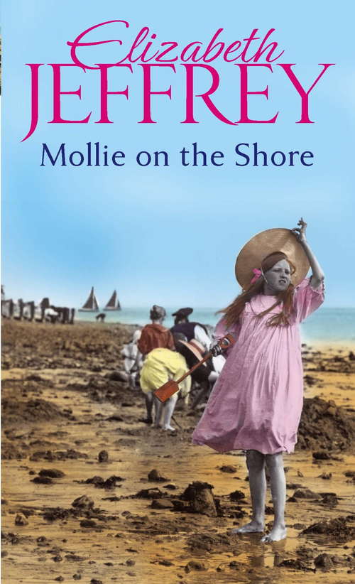 Book cover of Mollie On The Shore