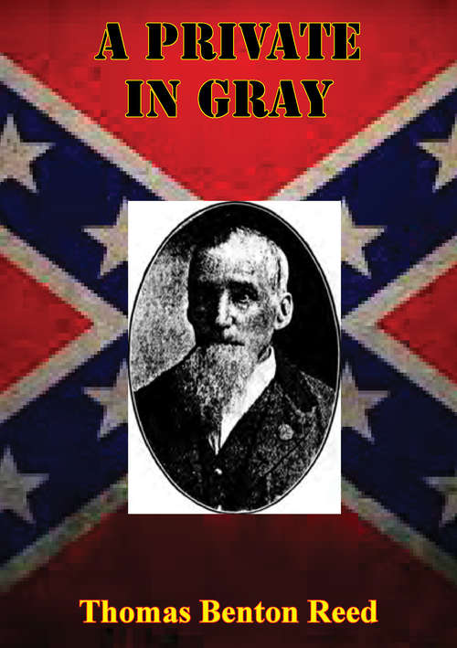Book cover of A Private In Gray