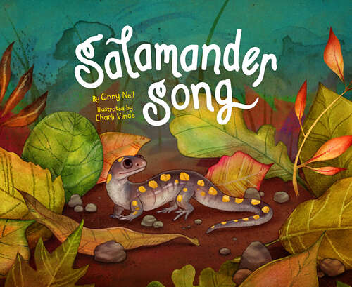 Book cover of Salamander Song