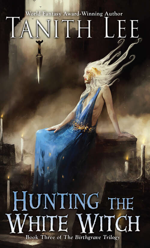 Book cover of Hunting the White Witch (The Birthgrave Trilogy #3)