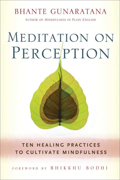 Book cover of Meditation on Perception