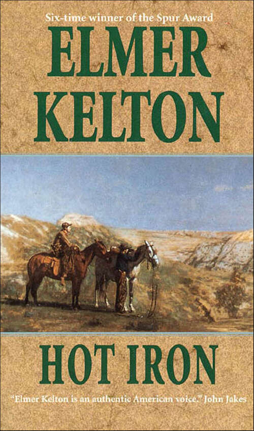 Book cover of Hot Iron